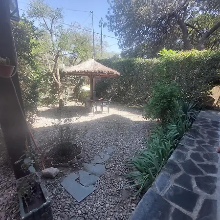 Alma Mora-3
